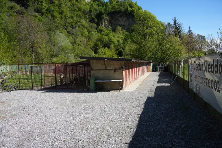 Struttura estiva con box e area di sgambamento dei cani da slitta