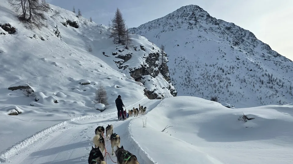 Escursione sleddog a Cervinia su pista innevata di montagna
