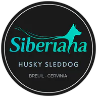 Siberiana Husky Sleddog