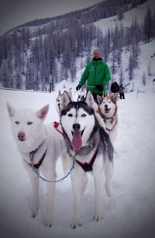 Samy con Ibis e Nut sulla neve